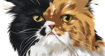 urgentvet pet clinic locations for veterinary urgent care for cats